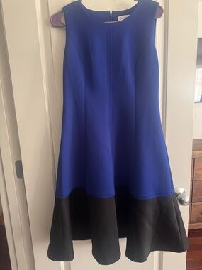 Calvin Klein Blue and Black Sleeveless Fit-and-Flare Dress